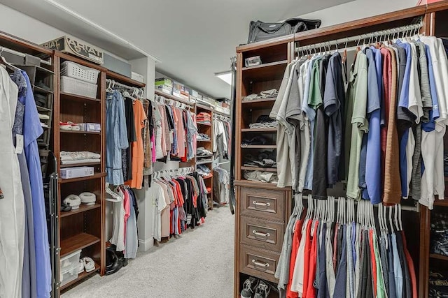 470 Wagon Hill Ln, Sugar Hill, GA 30518 - walk in closet featuring carpet floors