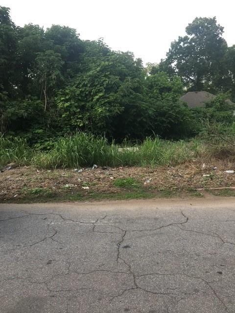 1151 Arlington Ave SW, Atlanta, GA 30310