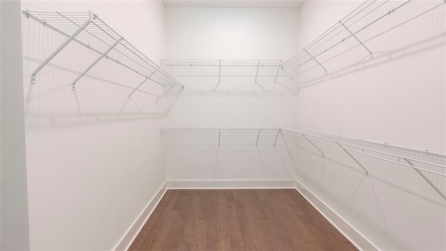 7020 Cottage Grove Dr, Flowery Branch, GA 30542 - walk in closet with dark wood-style flooring