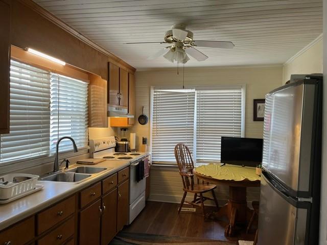 kitchen featuring appliances with stainless steel finishes, sink, ceiling fan, dark wood-type flooring, and crown molding