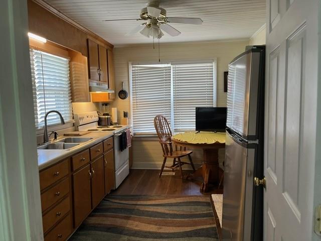 kitchen featuring sink, dark hardwood / wood-style flooring, ceiling fan, stainless steel appliances, and ornamental molding