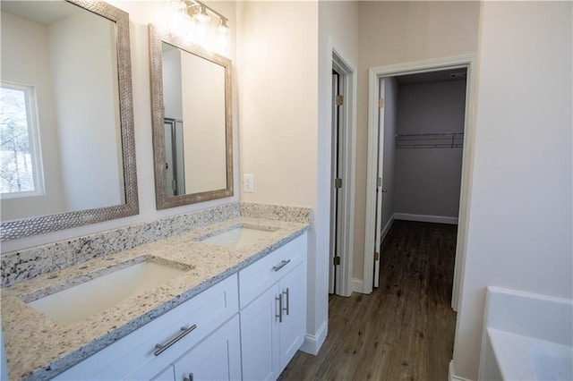 bathroom with double vanity, a spacious closet, wood finished floors, and a sink