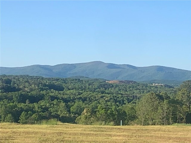 view of mountain feature