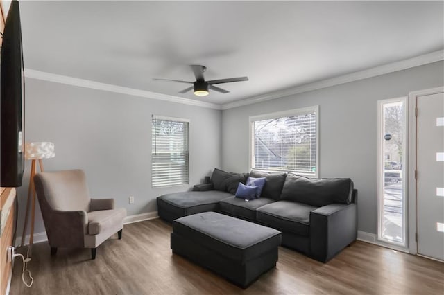 living area featuring baseboards, crown molding, ceiling fan, and wood finished floors