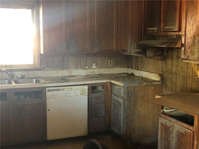 kitchen with sink and dishwasher