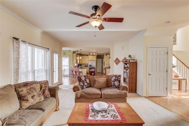 living room featuring crown molding, ceiling fan, and light hardwood / wood-style flooring