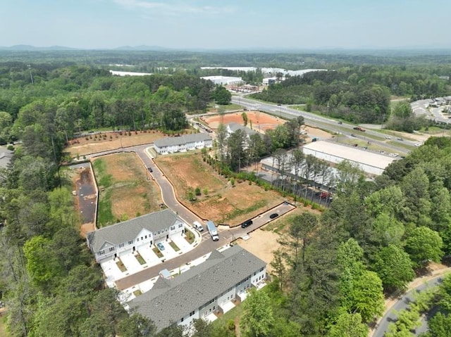 bird's eye view