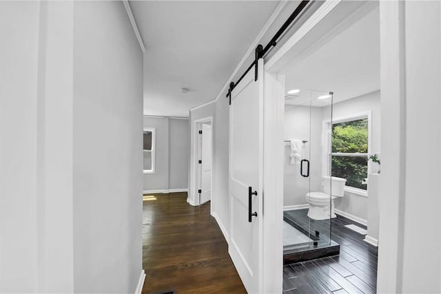 hallway featuring a barn door, baseboards, dark wood-type flooring, and ornamental molding