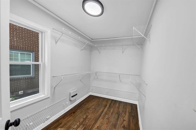 walk in closet featuring dark wood-type flooring