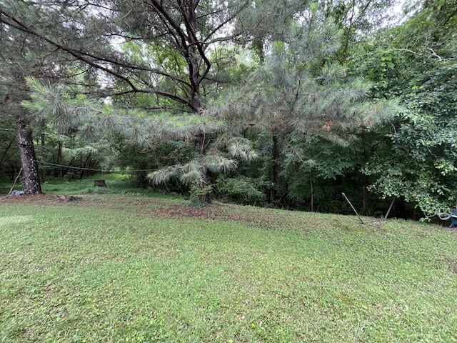 2529 Feathertree Ln, Lawrenceville, GA 30044 - view of green lawn featuring a forest view