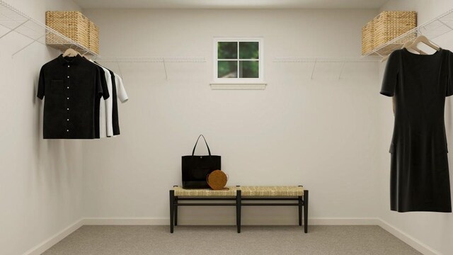 416 Valley View Trl, Canton, GA 30115 - spacious closet featuring light colored carpet