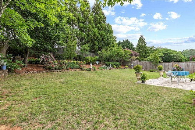 view of yard featuring a patio and a fenced backyard