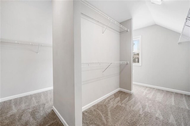399 Cobblestone Trl, Dallas, GA 30132 - walk in closet with lofted ceiling and carpet floors