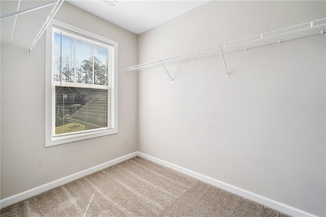399 Cobblestone Trl, Dallas, GA 30132 - spacious closet featuring carpet