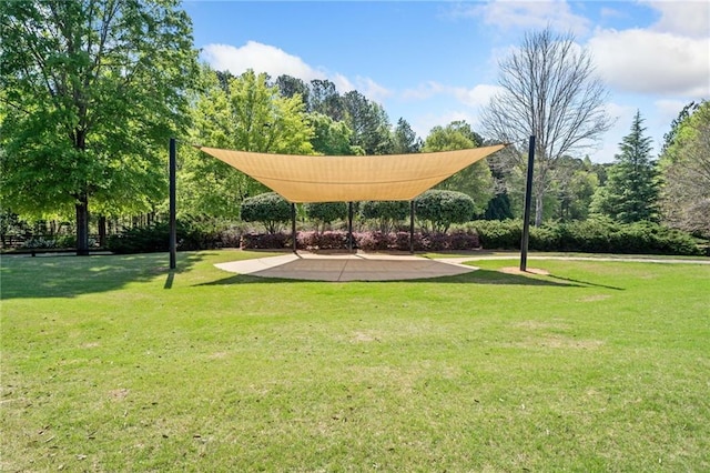 399 Cobblestone Trl, Dallas, GA 30132 - view of community featuring a yard