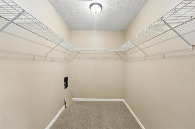 walk in closet with carpet floors