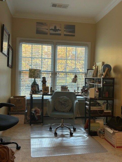 carpeted office with crown molding and plenty of natural light