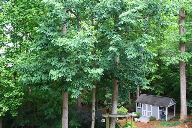 view of undeveloped land
