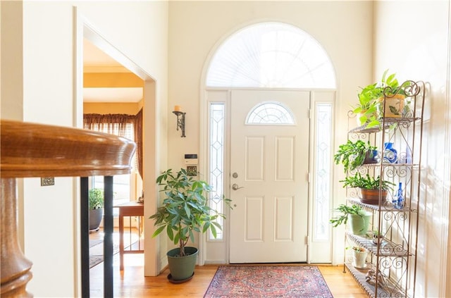 entrance foyer with light wood finished floors and healthy amount of natural light
