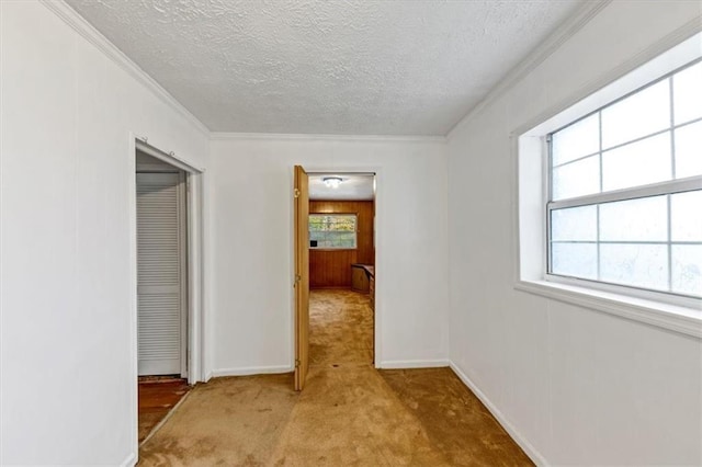 hall featuring a wealth of natural light, crown molding, light colored carpet, and a textured ceiling