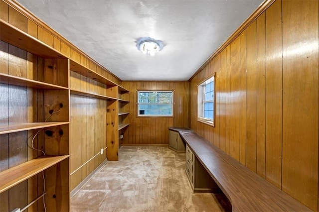 mudroom with light colored carpet and wood walls