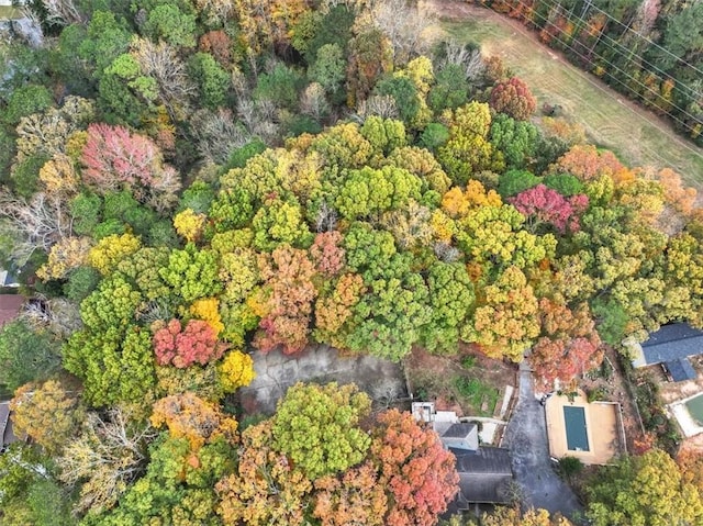 bird's eye view