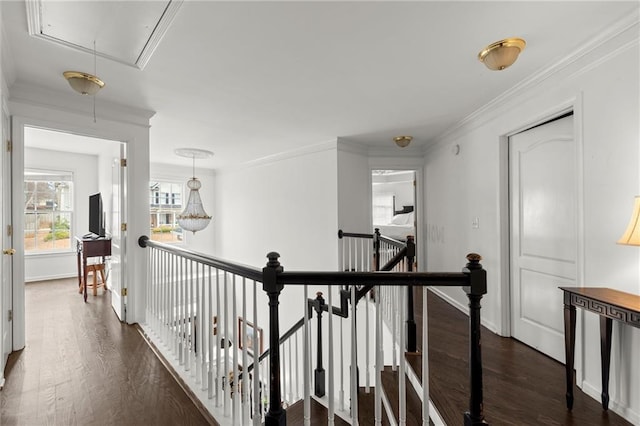 hallway with attic access, baseboards, dark wood-type flooring, crown molding, and an upstairs landing