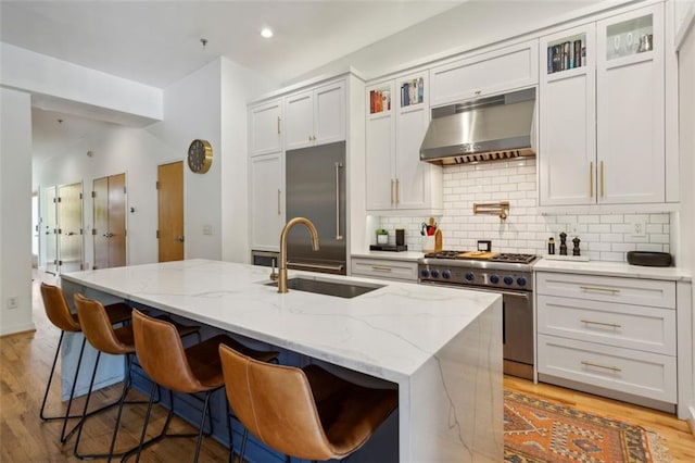 kitchen featuring light stone counters, a sink, light wood-style floors, under cabinet range hood, and premium appliances