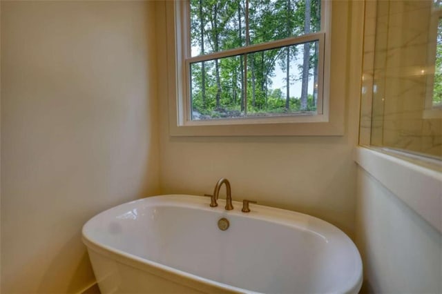 460 Ridge Point Dr, Monticello, GA 31064 - bathroom featuring a freestanding tub