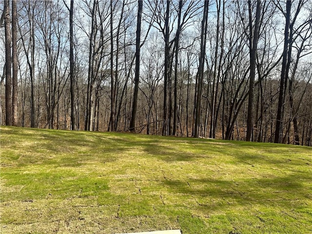 view of yard featuring a wooded view