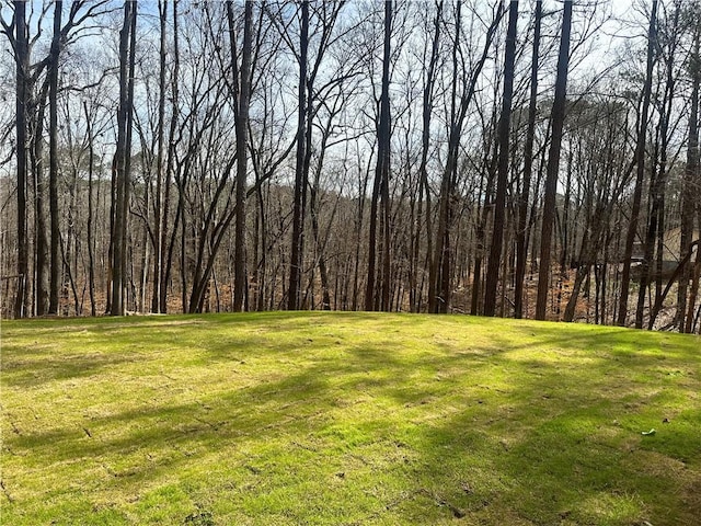 view of yard with a wooded view