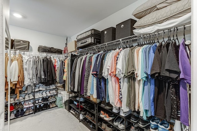 view of spacious closet