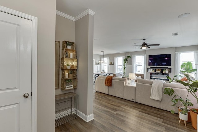 living room with hardwood / wood-style flooring, ornamental molding, plenty of natural light, and ceiling fan