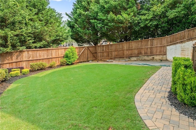 435 Ruby Forest Pkwy, Suwanee, GA 30024 - view of yard