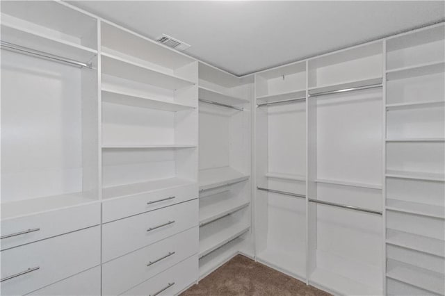 149 Elkins Blvd, Locust Grove, GA 30248 - walk in closet featuring carpet