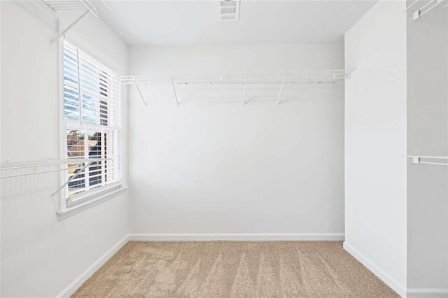 walk in closet featuring light colored carpet