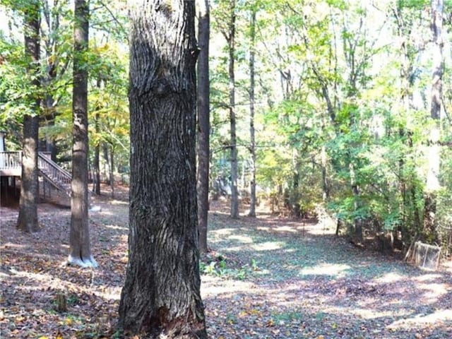 576 Nichols Rd, Pendergrass, GA 30567 - view of yard featuring stairs and a view of trees