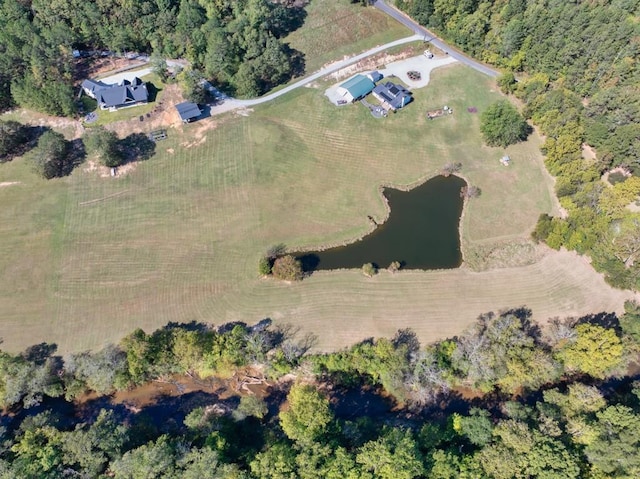 441 Pumpkinvine Rd, Acworth, GA 30101 - bird's eye view featuring a view of trees