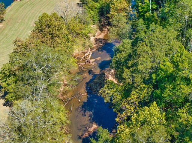 441 Pumpkinvine Rd, Acworth, GA 30101 - birds eye view of property with a water view