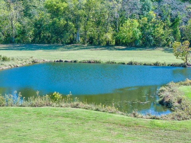 441 Pumpkinvine Rd, Acworth, GA 30101 - water view