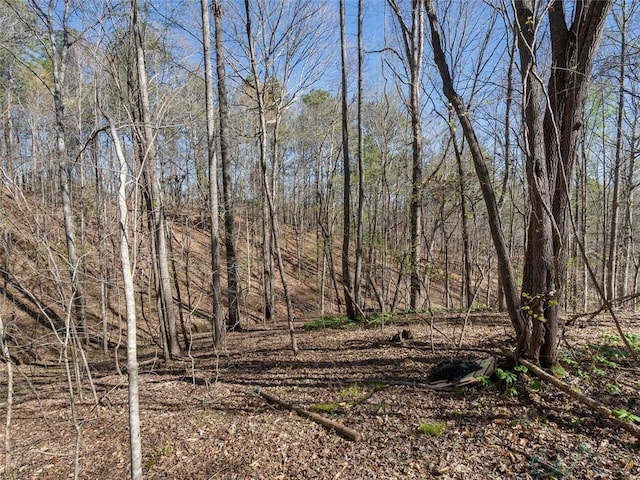 view of local wilderness