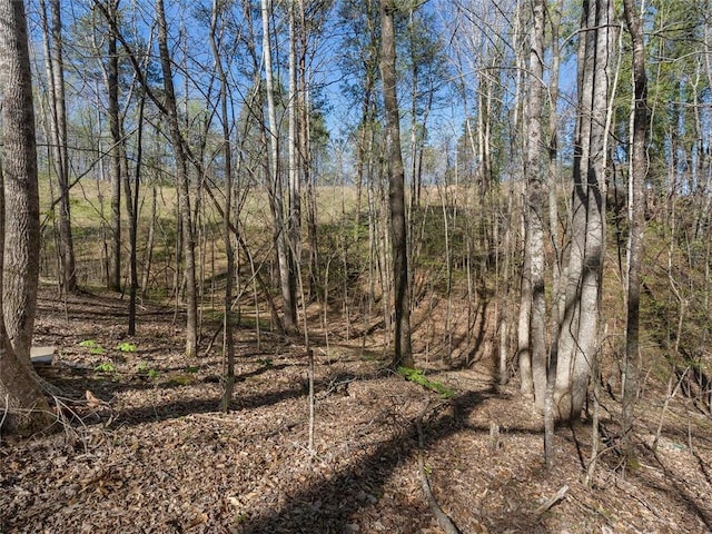 view of local wilderness