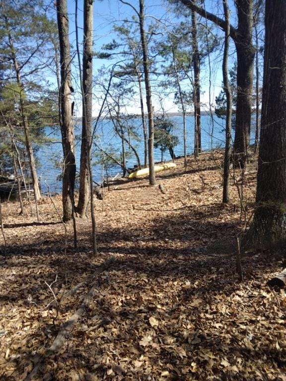 9165 Duran Cir, Gainesville, GA 30506 - water view