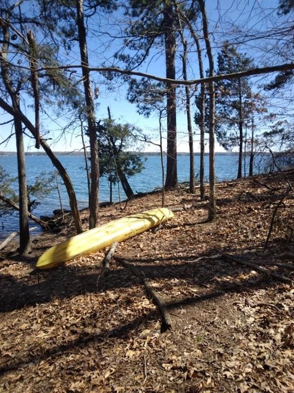 9165 Duran Cir, Gainesville, GA 30506 - water view