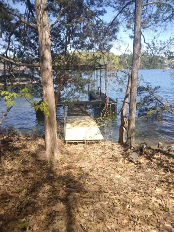 9165 Duran Cir, Gainesville, GA 30506 - dock featuring a water view