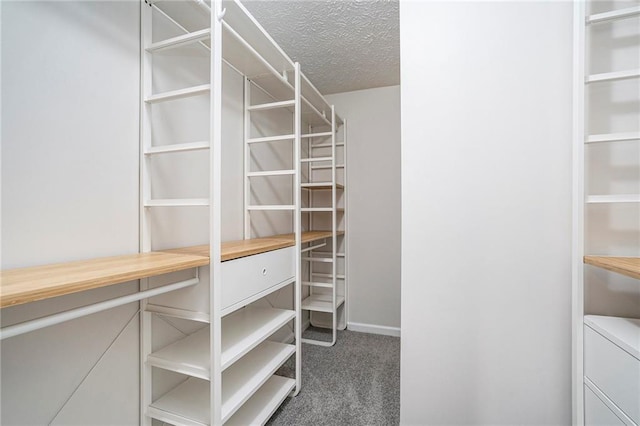 walk in closet featuring dark colored carpet