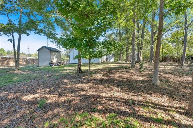 view of yard with a shed