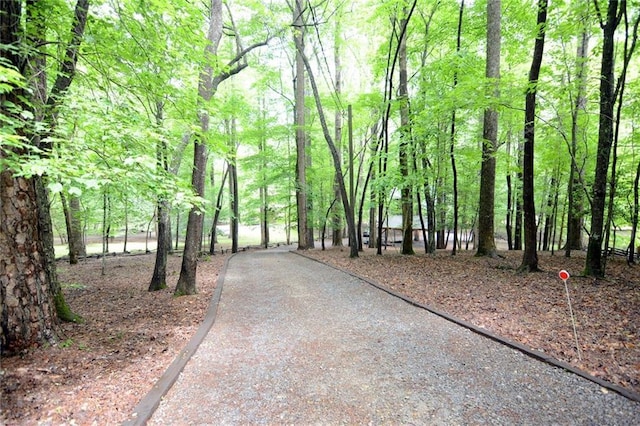 854 Navaho Way, Ellijay, GA 30540 - view of home's community