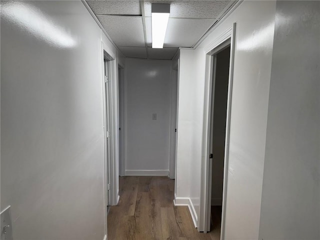 corridor featuring a paneled ceiling, baseboards, and wood finished floors