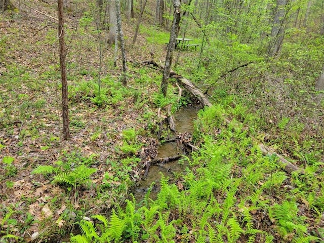 Listing photo 2 for LOT27 Oak Rdg, Ellijay GA 30536